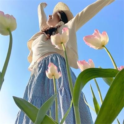 锦囊妙录