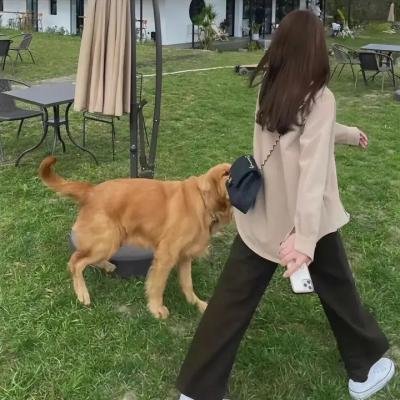 京城学校：消失的少女们